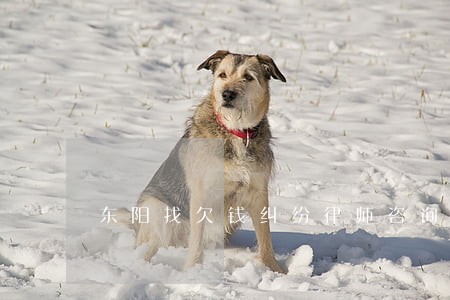 东阳找欠钱纠纷律师咨询网站 东阳找欠钱纠纷律师咨询网站