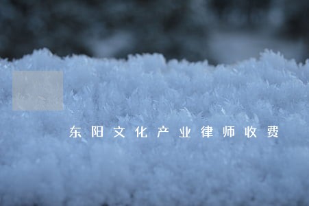 东阳文化产业律师收费 东阳文化产业律师收费