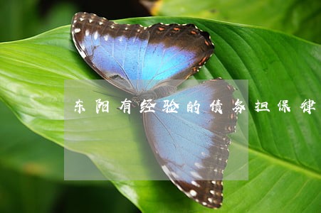 东阳有经验的债务担保律师价格 东阳有经验的债务担保律师价格