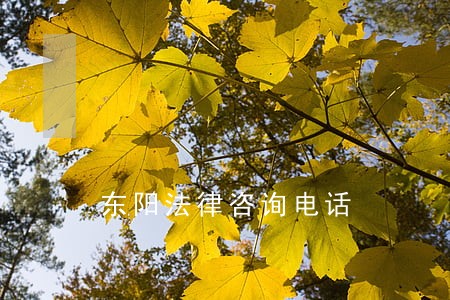 东阳法律咨询电话 东阳法律咨询电话