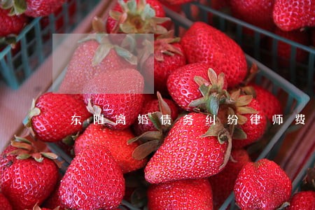 东阳离婚债务纠纷律师费怎么算
