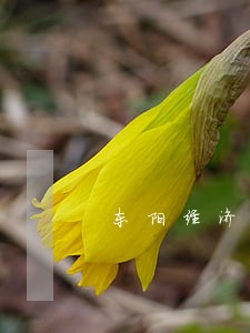 东阳经济合同律师费用标准 东阳经济合同律师费用标准
