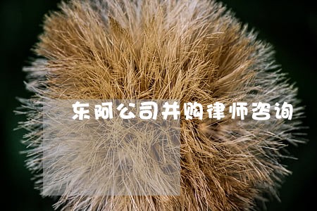 东阿公司并购律师咨询 东阿公司并购律师咨询
