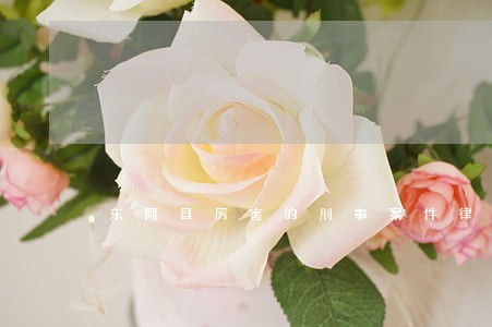 东阿县厉害的刑事案件律师收费 东阿县厉害的刑事案件律师收费