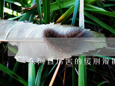 东阿县厉害的缓刑辩护律师收费