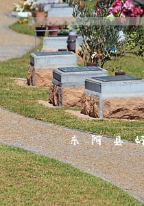 东阿县好的取保候审律师