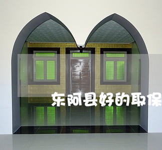 东阿县好的取保候审律师收费标准