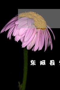 东阿县欠款起诉律师