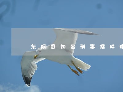 东阿县知名刑事案件律师免费咨询 东阿县知名刑事案件律师免费咨询