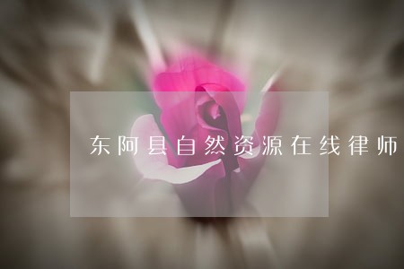东阿县自然资源在线律师 东阿县自然资源在线律师
