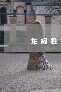 东阿县重大刑事案件律师 东阿县重大刑事案件律师