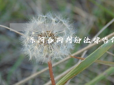 东阿合同纠纷法律咨询