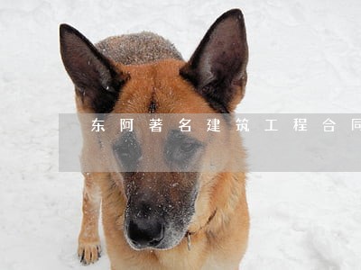 东阿著名建筑工程合同律师 东阿著名建筑工程合同律师