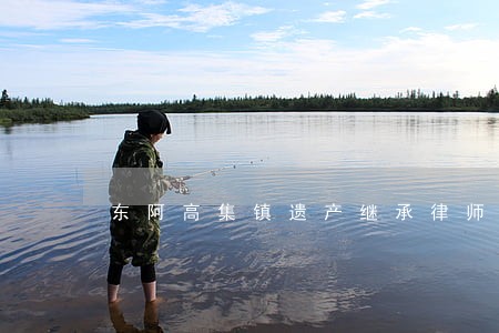 东阿高集镇遗产继承律师 东阿高集镇遗产继承律师