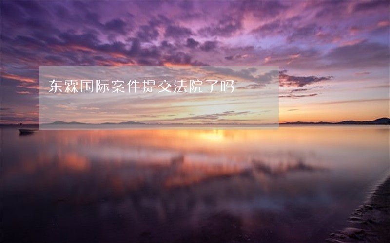 东霖国际案件提交法院了吗 东霖国际案件提交法院了吗