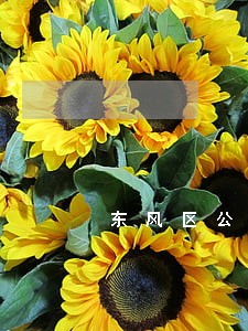 东风区公司犯罪法律咨询热线 东风区公司犯罪法律咨询热线