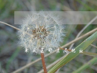 东风区司法局地址 东风区司法局地址