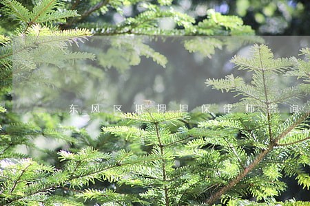 东风区抵押担保律师咨询电话 东风区抵押担保律师咨询电话