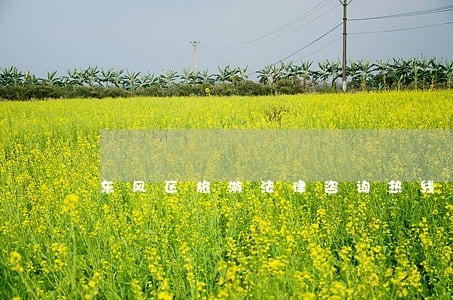 东风区旅游法律咨询热线 东风区旅游法律咨询热线
