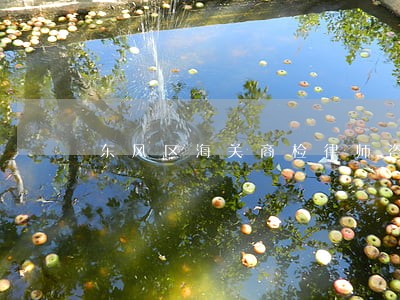 东风区海关商检律师咨询电话