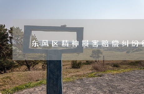 东风区精神损害赔偿纠纷律师