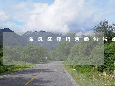 东风区经济合同纠纷律师 东风区经济合同纠纷律师
