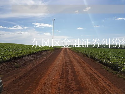东风区金融证券纠纷律师