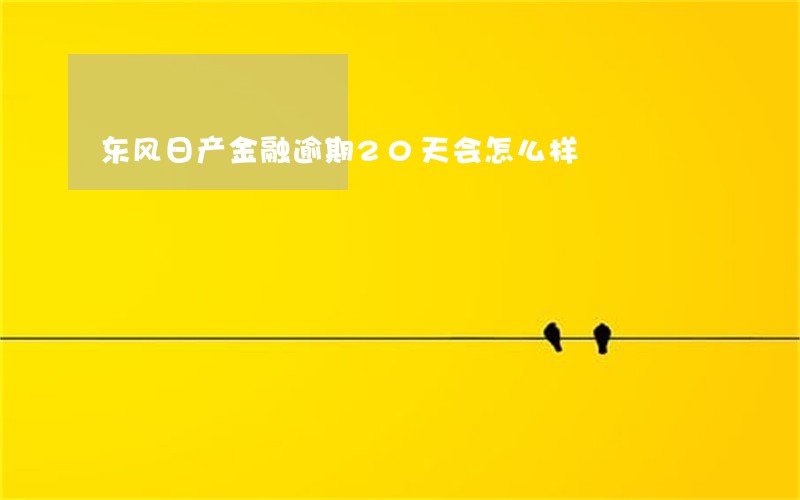 东风日产金融逾期20天会怎么样 东风日产金融逾期20天会怎么样