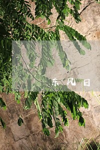 东风日产金融逾期6天 东风日产金融逾期6天
