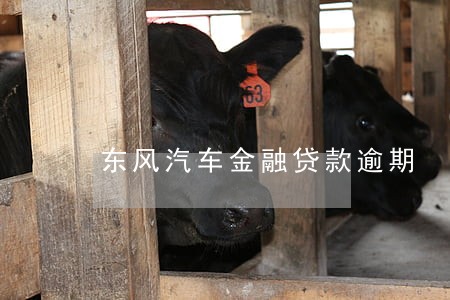 东风汽车金融贷款逾期