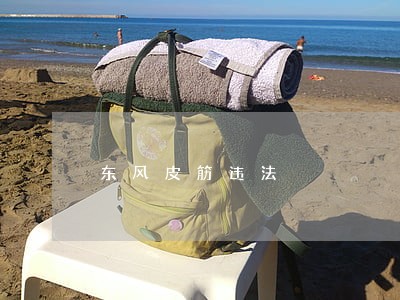 东风皮筋违法 东风皮筋违法