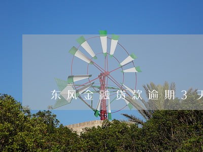 东风金融贷款逾期3天 东风金融贷款逾期3天