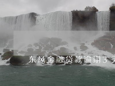 东风金融贷款逾期3天怎么办 东风金融贷款逾期3天怎么办