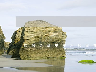 东风金融车贷还款逾期1天