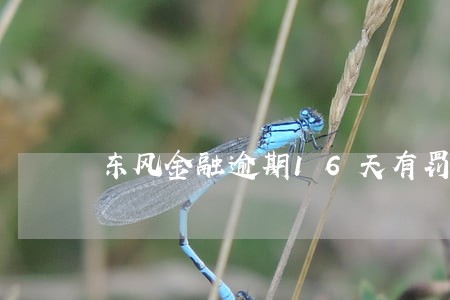 东风金融逾期16天有罚息么 东风金融逾期16天有罚息么