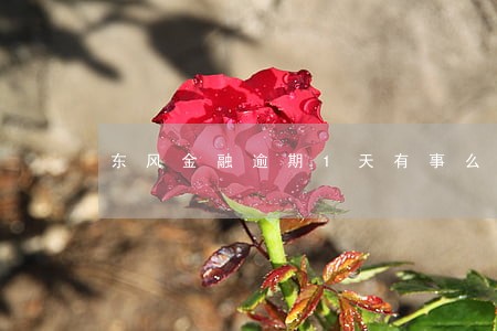 东风金融逾期1天有事么 东风金融逾期1天有事么