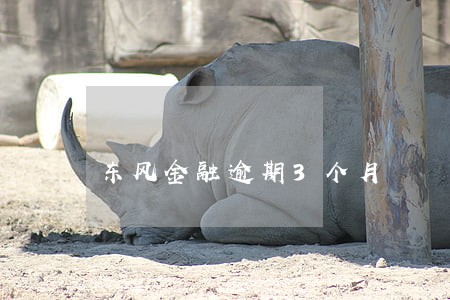 东风金融逾期3个月