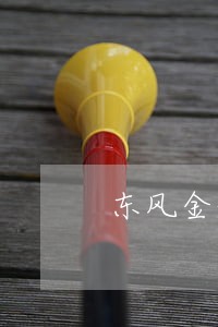 东风金融逾期6个月会怎样风