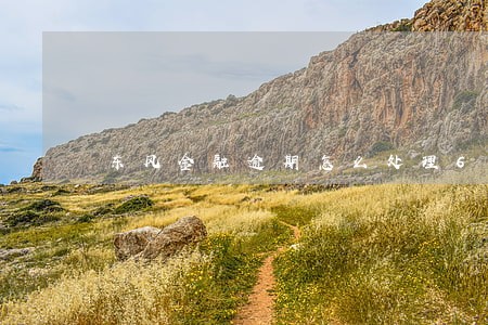 东风金融逾期怎么处理6 东风金融逾期怎么处理6