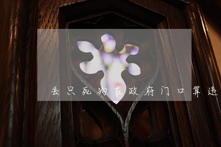 丢只死狗在政府门口算违法吗 丢只死狗在政府门口算违法吗