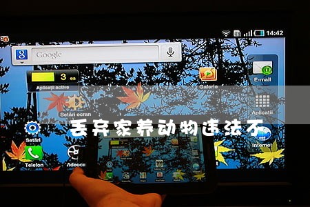 丢弃家养动物违法不 丢弃家养动物违法不