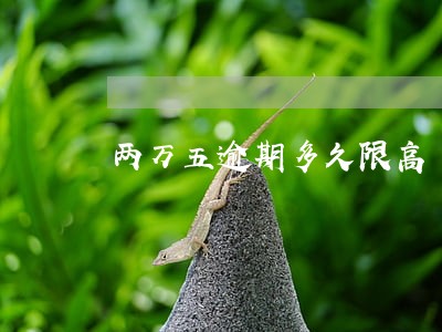 两万五逾期多久限高 两万五逾期多久限高