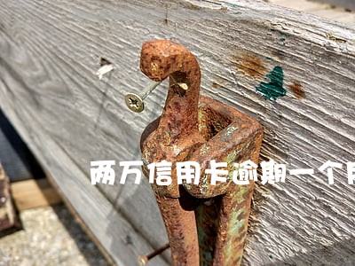 两万信用卡逾期一个月利息多少