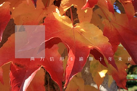 两万信用卡逾期十年未还 两万信用卡逾期十年未还