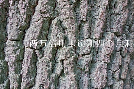 两万信用卡逾期四个月利息 两万信用卡逾期四个月利息