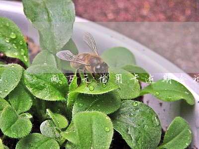 两万元信用卡逾期会被起诉吗 两万元信用卡逾期会被起诉吗