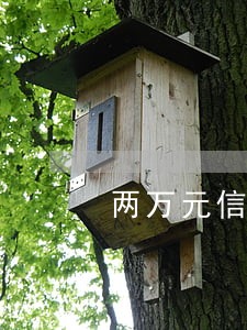 两万元信用卡逾期利息是多少 两万元信用卡逾期利息是多少