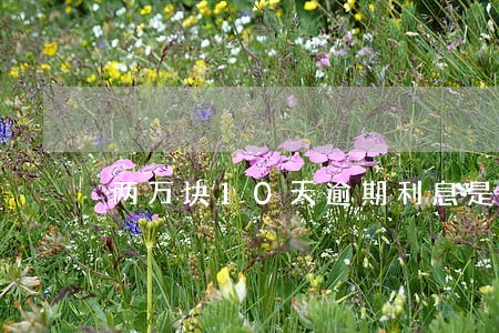 两万块10天逾期利息是多少 两万块10天逾期利息是多少
