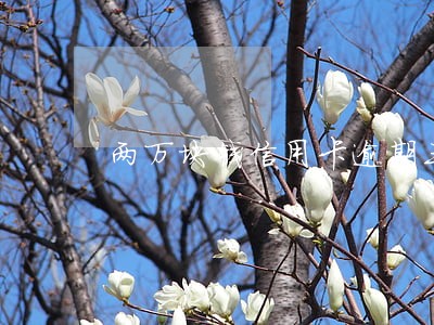 两万块钱信用卡逾期三月利息 两万块钱信用卡逾期三月利息