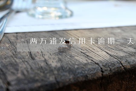 两万浦发信用卡逾期一天利息多少
